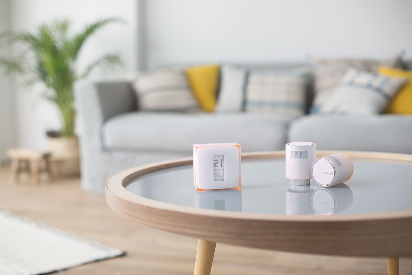 Vernetzter Thermostat - NETATMO